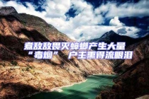 煮敵敵畏滅蟑螂產(chǎn)生大量“毒煙” 戶主熏得流眼淚