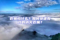 蒼蠅怕什么？如何快速有效的消滅蒼蠅？