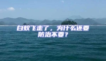 白蟻飛走了，為什么還要防治不要？