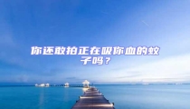 你還敢拍正在吸你血的蚊子嗎？