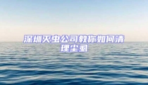 深圳滅蟲公司教你如何清理塵虱