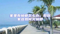 家里有蟑螂怎么辦，教你家庭如何滅蟑螂