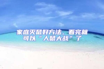 家庭滅鼠好方法，看完就可以“人鼠大戰”了