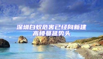 深圳白蟻危害已經向新建高樓蔓延勢頭