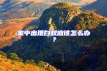 家中出現白蟻應該怎么辦？