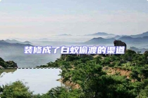 裝修成了白蟻偷渡的渠道