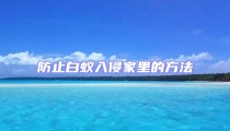 防止白蟻入侵家里的方法