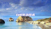 白蟻防治技術