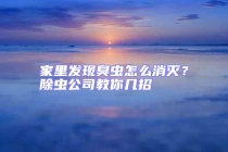 家里發(fā)現(xiàn)臭蟲怎么消滅？除蟲公司教你幾招