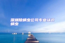 深圳除螨蟲公司專業(yè)認(rèn)識(shí)螨蟲