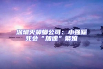 深圳滅蟑螂公司：小強(qiáng)踩死會(huì)“加速”繁殖