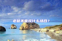 老鼠不喜歡什么場合？