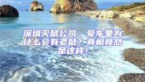 深圳滅鼠公司，愛車里為什么會有老鼠？真相竟然是這樣！