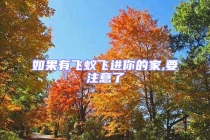 如果有飛蟻飛進(jìn)你的家,要注意了