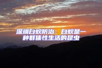 深圳白蟻防治：白蟻是一種群體性生活的昆蟲