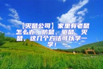 【滅鼠公司】家里有老鼠怎么辦，防鼠、驅鼠、滅鼠，這幾個方法可以學一學！