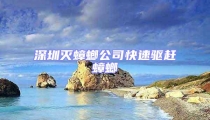 深圳滅蟑螂公司快速驅趕蟑螂
