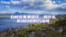 白蟻在家里猖狂，有什么防治白蟻的方法嗎