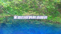 家庭白蟻的防治知識(shí)