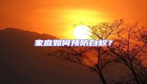 家庭如何預防白蟻？