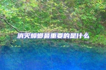 消滅蟑螂最重要的是什么