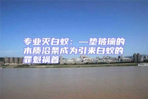 專業滅白蟻：—墊玻璃的木質沿條成為引來白蟻的罪魁禍首