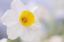 除蟲(chóng)公司在夏季如何為工廠做好蟲(chóng)害防控？