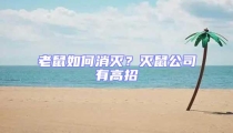 老鼠如何消滅？滅鼠公司有高招