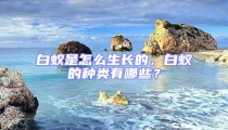 白蟻是怎么生長(zhǎng)的，白蟻的種類有哪些？