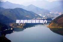 鼠類的超強(qiáng)繁殖力