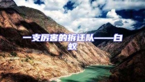 一支厲害的拆遷隊(duì)——白蟻