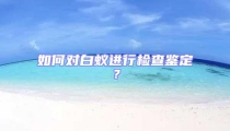 如何對白蟻進行檢查鑒定？