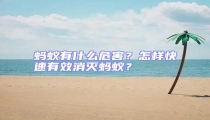 螞蟻有什么危害？怎樣快速有效消滅螞蟻？