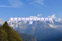 家里發(fā)現(xiàn)蛾蠓如何有效消滅