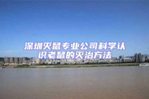 深圳滅鼠專業(yè)公司科學(xué)認(rèn)識(shí)老鼠的滅治方法