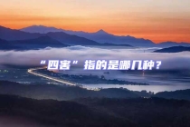 “四害”指的是哪幾種？