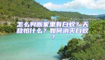 怎么判斷家里有白蟻？天敵怕什么？如何消滅白蟻？