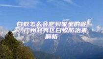 白蟻怎么會(huì)爬到家里的呢？廣州越秀區(qū)白蟻防治來(lái)解析