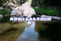 有沒有什么木頭不怕白蟻的？