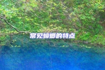 常見蟑螂的特點