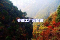 專(zhuān)業(yè)工廠滅鼠選