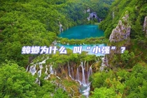 蟑螂為什么 叫“小強”？