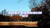 市民家中裝修木材被白蟻蛀空