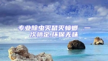 專業除蟲滅鼠滅蟑螂 .一次搞定.環保無味