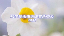 寫字樓殺蟲選哪家殺蟲公司好