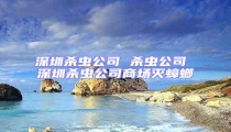 深圳殺蟲(chóng)公司 殺蟲(chóng)公司 深圳殺蟲(chóng)公司商場(chǎng)滅蟑螂