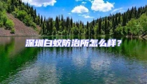 深圳白蟻防治所怎么樣？