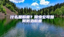 什么是粉蠹？除蟲公司如何防治粉蠹