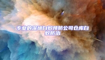 專業(yè)的深圳白蟻預(yù)防公司倉(cāng)庫(kù)白蟻防治